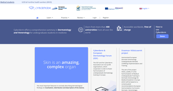 Screenshot of Cyberderm website